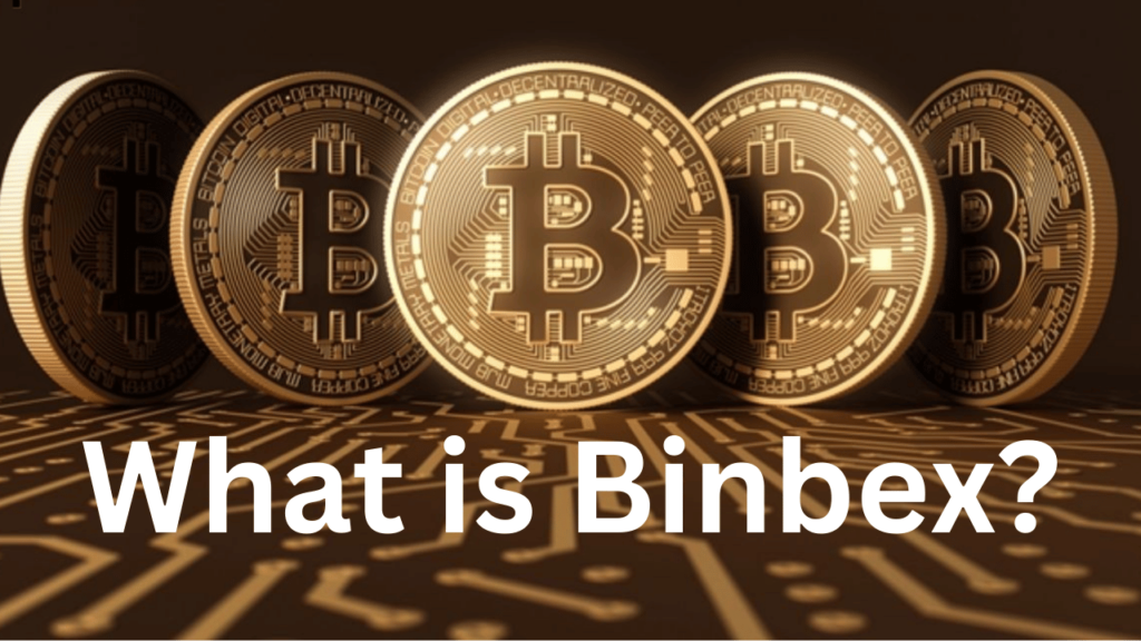 What Is Binbex?